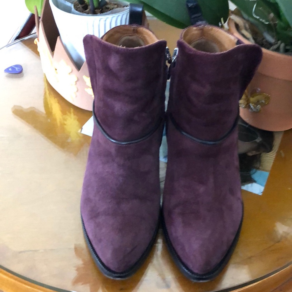 Alberto-Fermani ankle boots